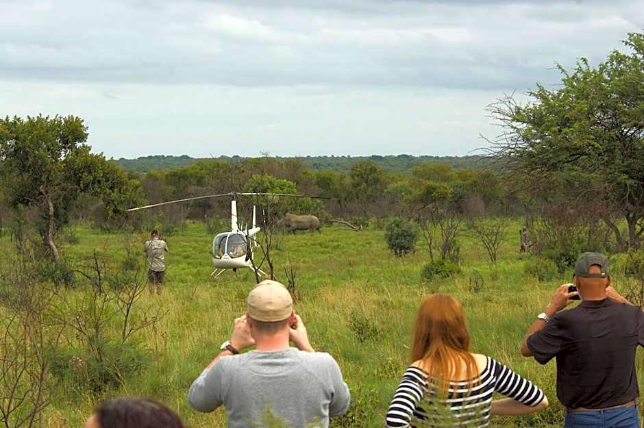 Out in Africa Wildlife Lodge