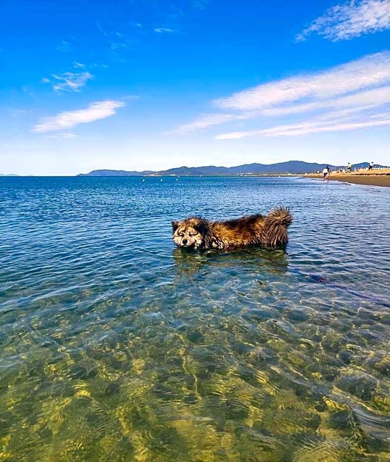 Mareblù - Tuscany Green Aparthotel