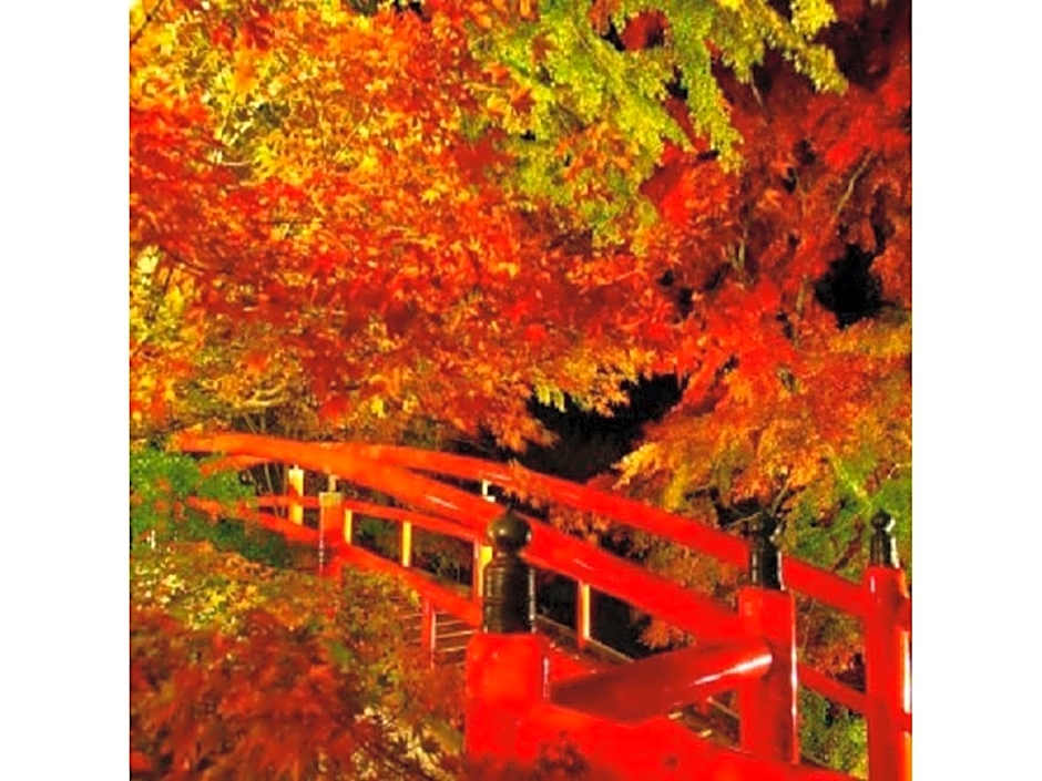 Ikaho Onsen Sanyo Hotel - Vacation STAY 26406v