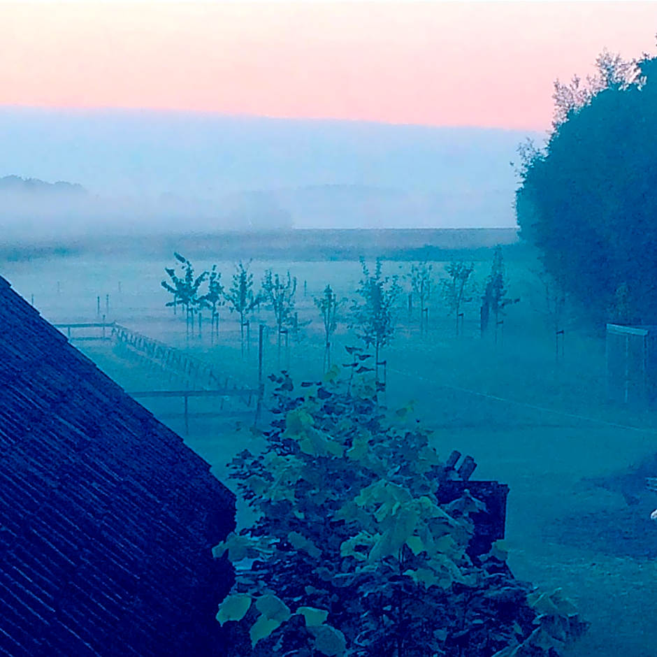 Bed & Breakfast Karakter