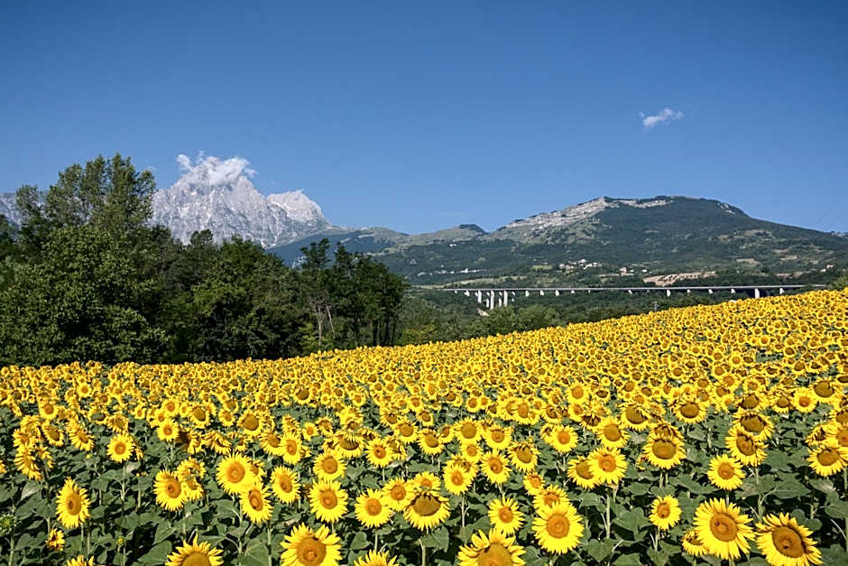 Locanda Del Parco Hotel