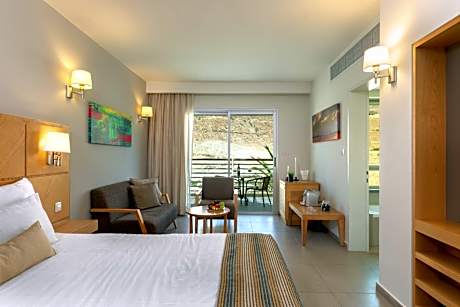 Deluxe Double or Twin Room with Terrace
