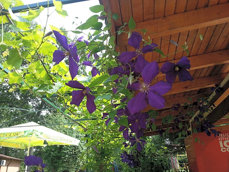 Туристически комплекс"Странджа"