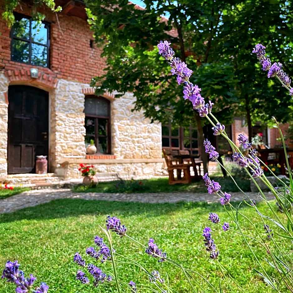 Casa Thea Cheile Nerei