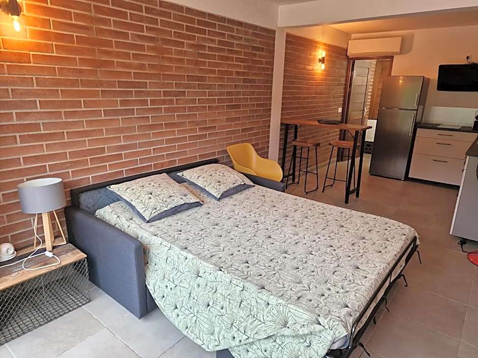 Shikoa Sobole - Le Morpho et l'Ara