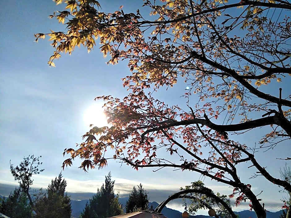 Flower and Star Garden Bed and Breakfast