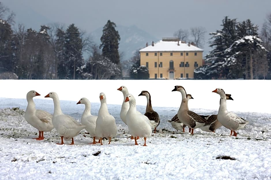 Agriturismo Il Torrione