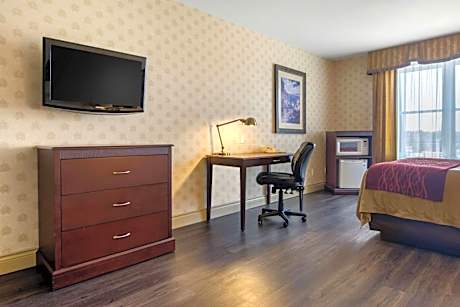 Queen Room - Disability Access/Non-Smoking