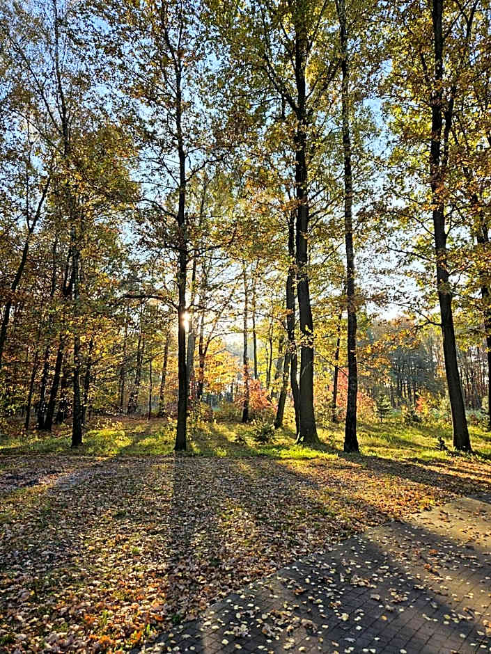 Hotel & Restauracja Timberland