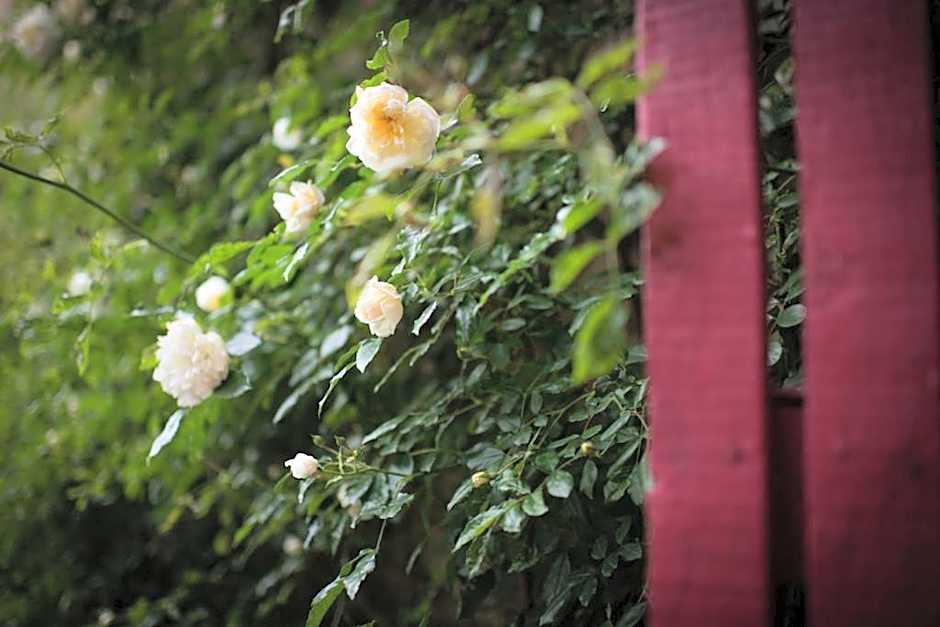 La Canonica Di Nusenna