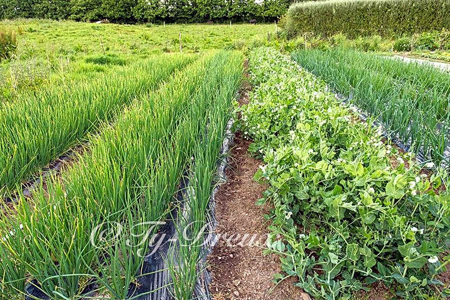 ty dreux entre terre et mer