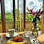 Pinokkio Bed and Breakfast