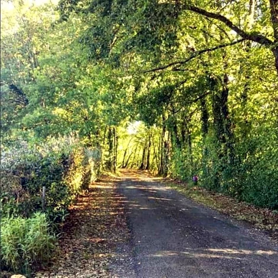 Chambre d'hôtes La Cavaille