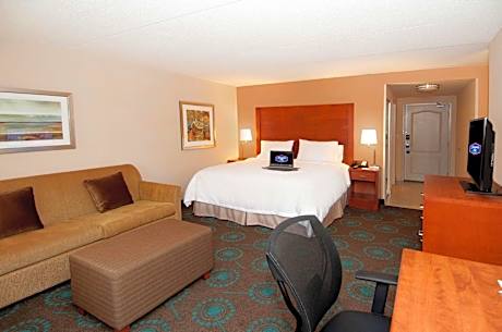 1 King Studio W/Microwv/Fridge Nonsmoking