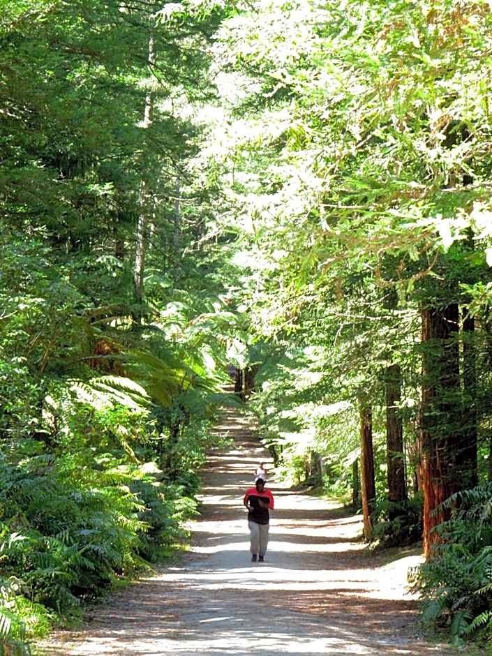 Kuirau Park Motor Lodge