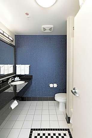 Suite, 1 King Bed with Sofa bed (Mobility/Hearing Accessible, Tub)