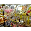 Yoro Onsen Honkan - Vacation STAY 09626v