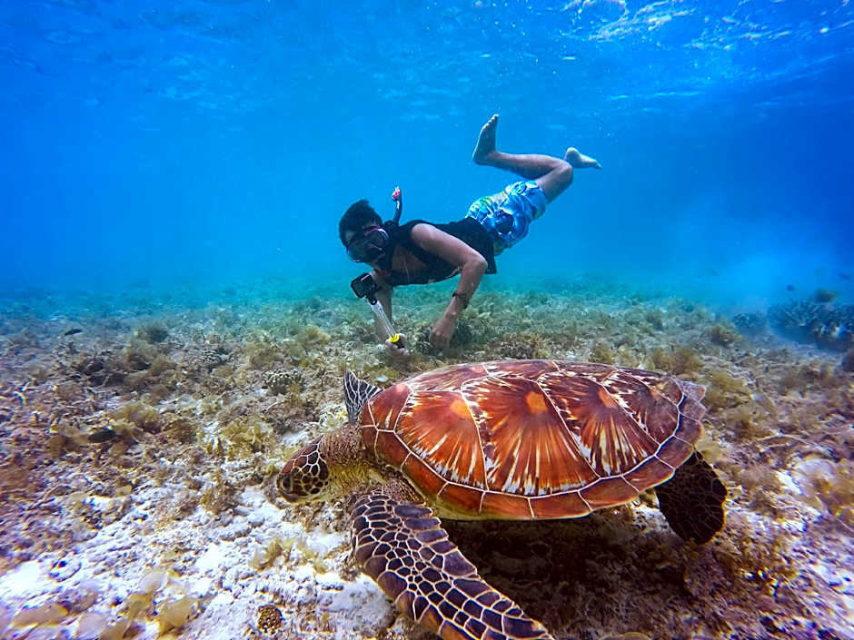 Noomoo Hulhumale