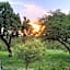 Barn Owl Lodge, Mjejane Game Reserve, Greater Kruger Park
