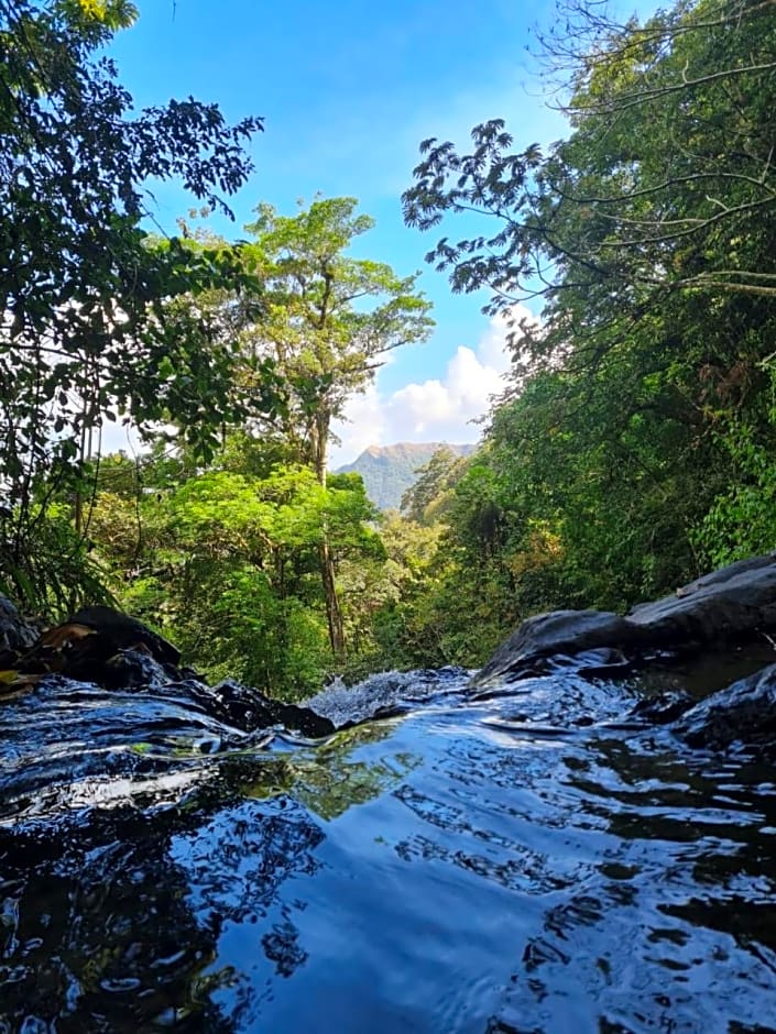 Los Mandarinos Boutique Hotel & Spa