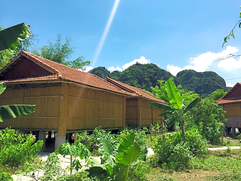 Ham Rong Homestay – Hoa Lu, OH