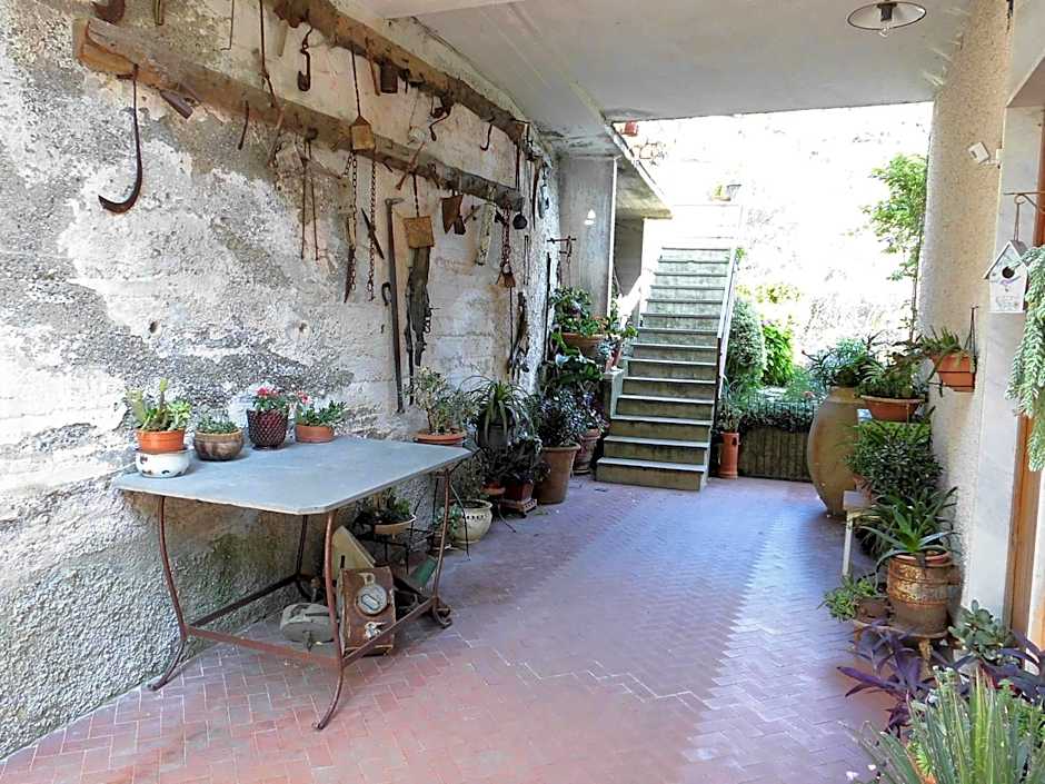 La Margherita di Teriasca