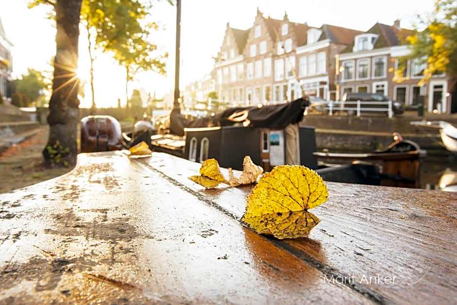 Vakantiehuis aan het water - vakantiepark de Schreiershoek