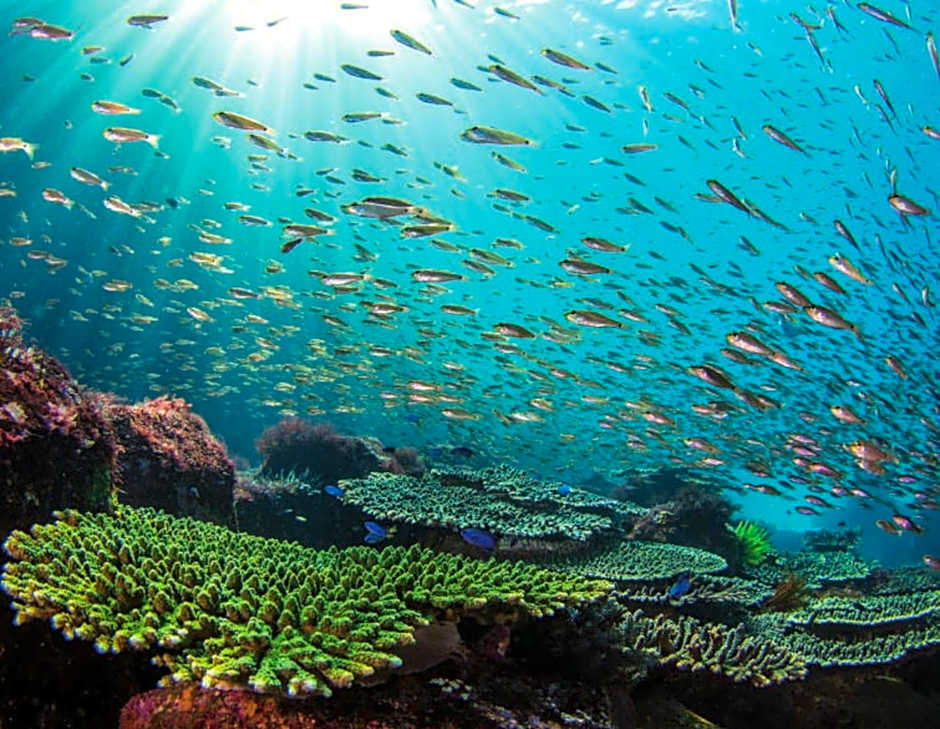 Kyukamura Nanki-Katsuura