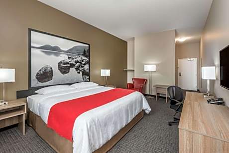 1 Queen Bed Suite Non-Smoking