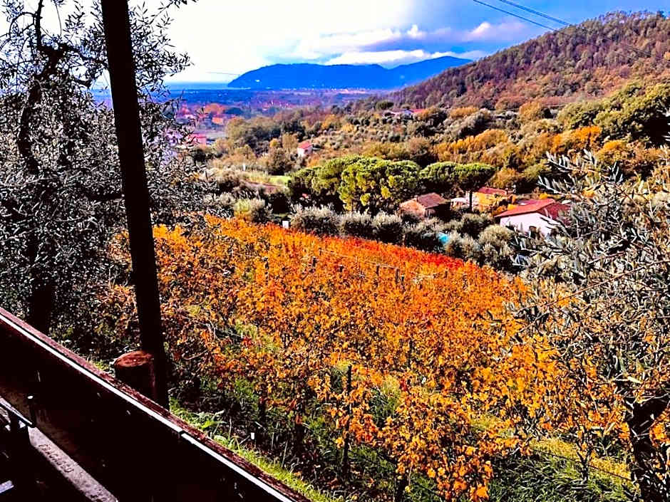 Agriturismo La Carreccia