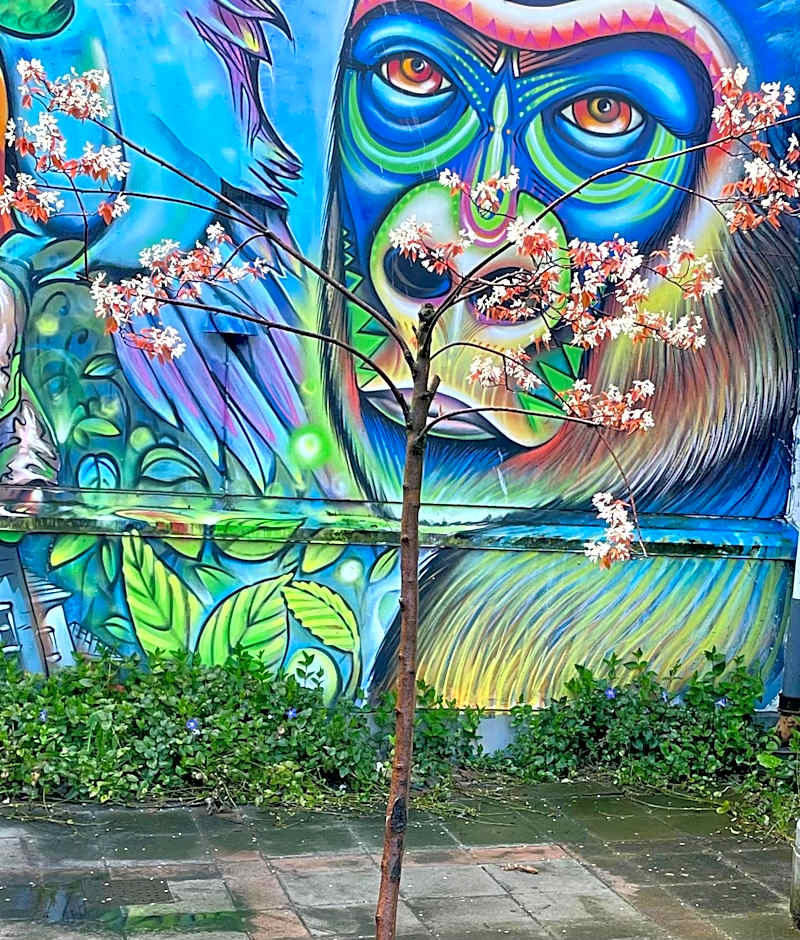 HOTEL N Hostel Malmö City