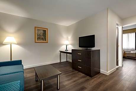 1 Queen Bed Deluxe Business Suite Non-Smoking