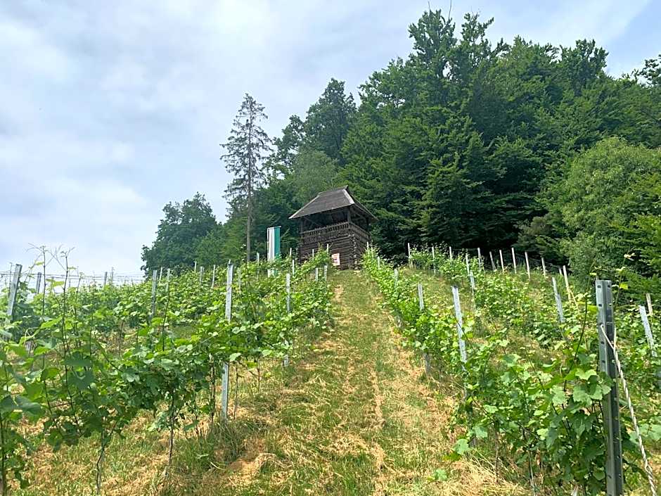 Koschak Wirt & Weinbauer