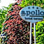 Apollo Terme Hotel