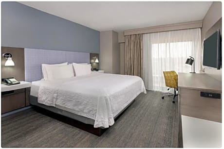 1 King Premium W/Microwv/Refridg/Shower Ns
