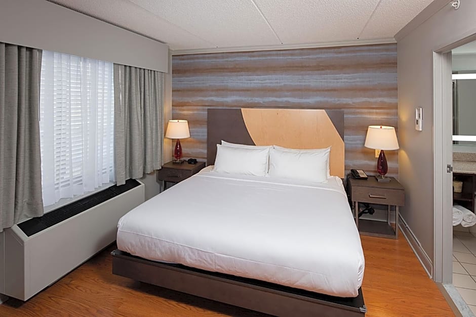 Hotel Trilogy Albany Airport, Tapestry Collection by Hilton