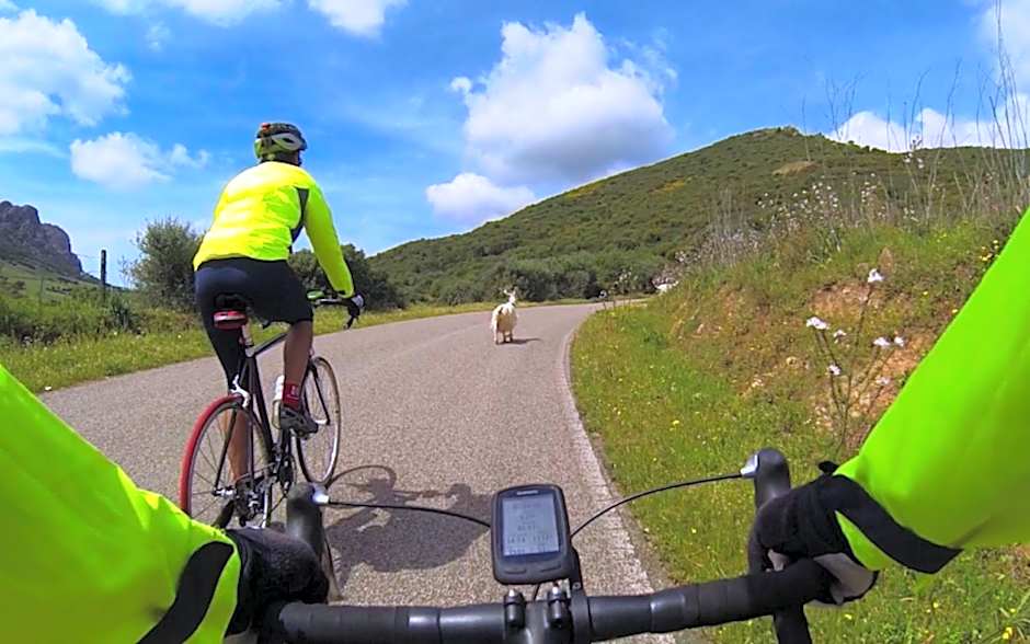 Hotel La Tartaruga Bianca