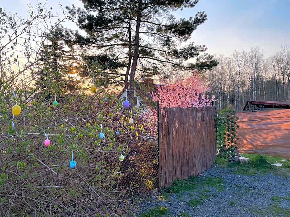 Fox House Tisá / Rájec