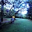Andante Lodge