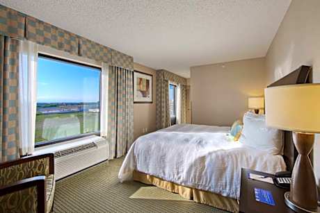 One-Bedroom King Suite