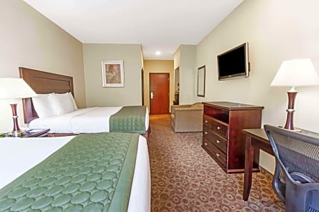 Suite King Bed Non Smoking