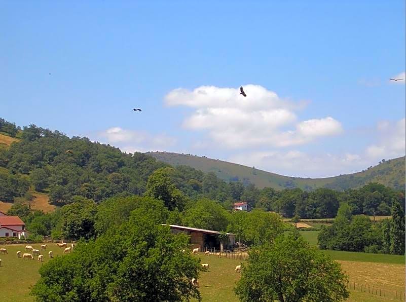 Chambres d'Hôtes Oyhanartia