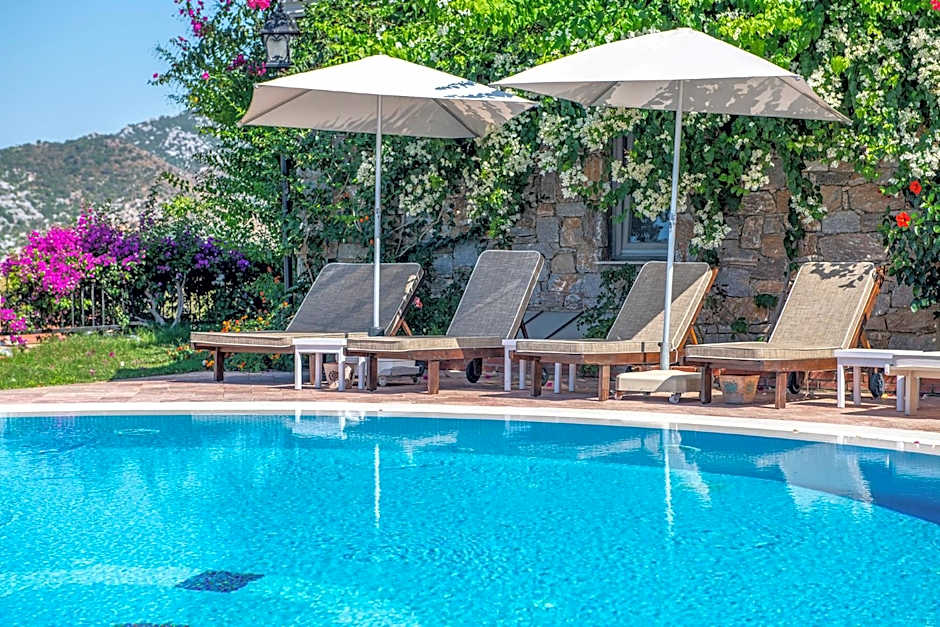 Swan Lake Hotel - Adult Only