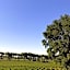 Domaine de Peilhan