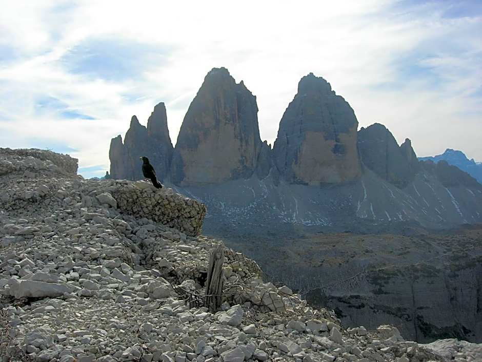 Appartments Helvetia