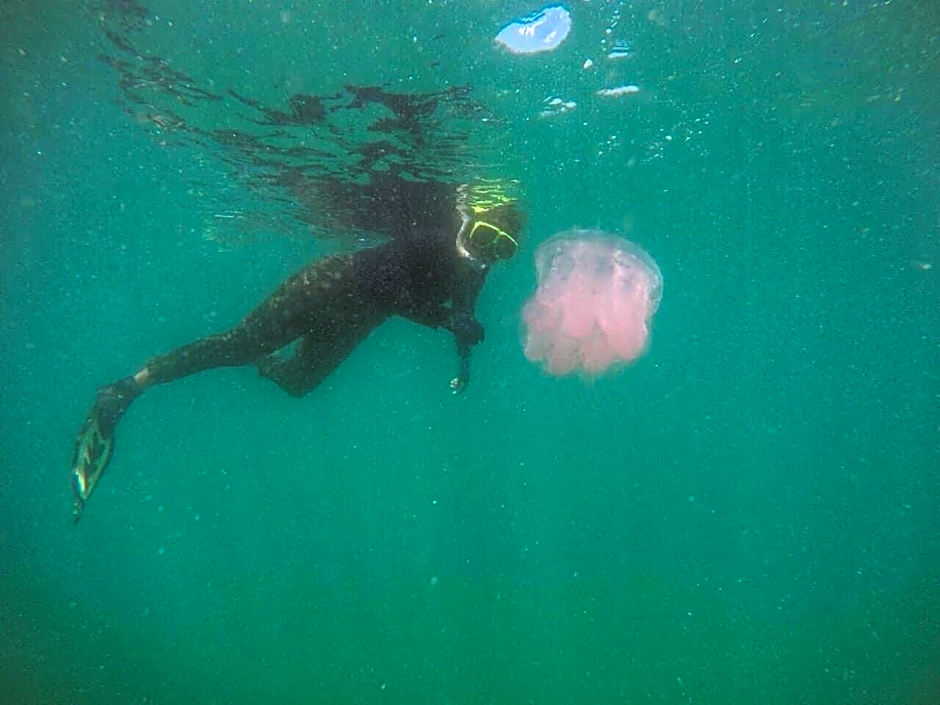 Bankruchaem Homestay Kohpu