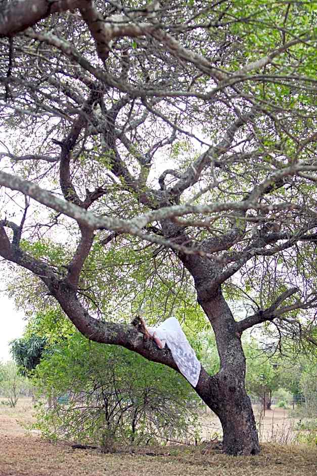 Emdoneni Lodge with Zululand Cat Conservation Project