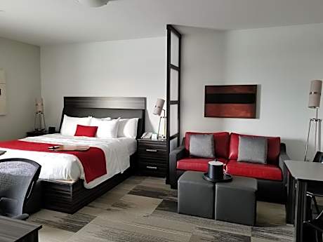 King Suite with Sofa Bed and Kitchen- Non-Smoking