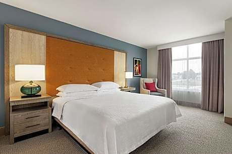 1 King Bed 1 Bedroom Suite Nonsmoking