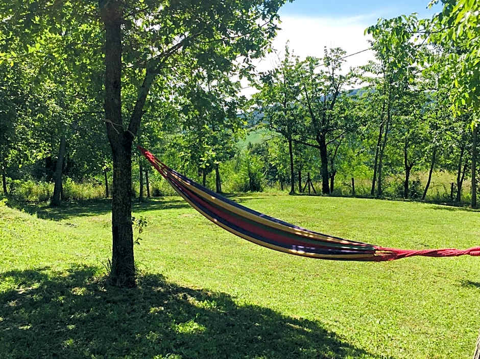 B&B I Falchi Pellegrini